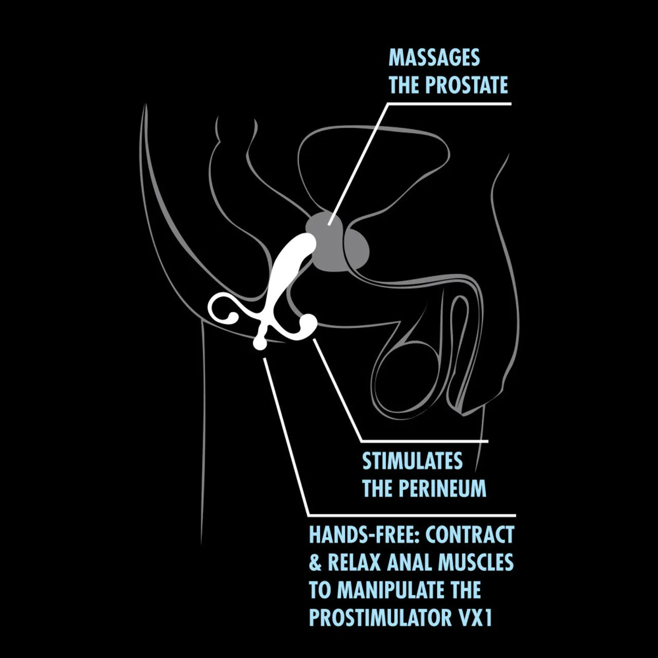 Anal Adventures - Prostate Stimulator