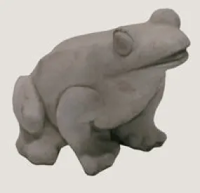 ASC Smooth Frog