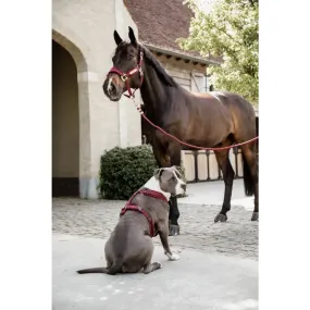 Kentucky Lead Rope Basic Bordeaux