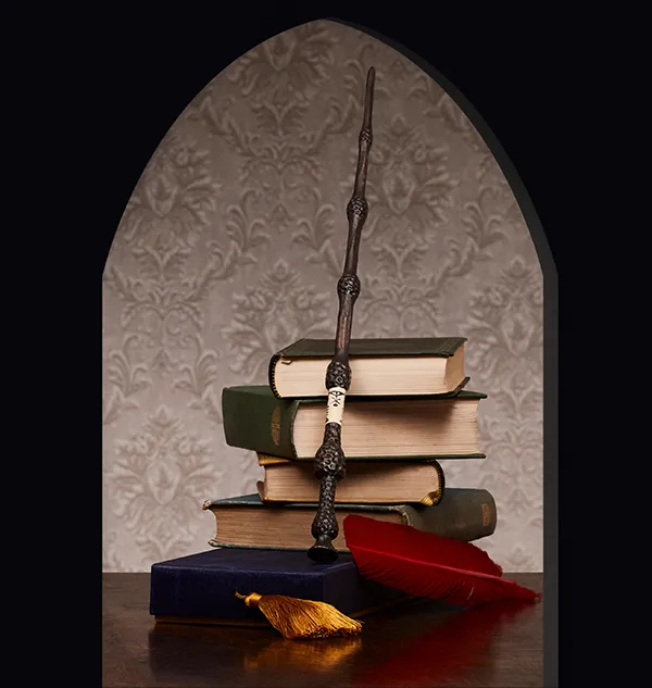 Professor Dumbledore's Wooden Wand